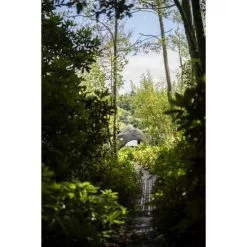 Sistema De Paraguas De Doble Capa Avid Carp HQ -Cebos de lápiz Tienda de ventas Avid20Carp20HQ20Dual20Layer20Brolly20System4 550x550h