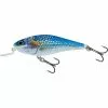 Salmo Executor Shallow Runner 9cm Holo Shiner 1 Salmo Executor Shallow Runner 9cm Holo Shiner -Cebos de lápiz Tienda de ventas Salmo Executor Shallow Runner 9cm Holo Shiner 550x550w
