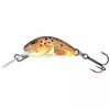 Trucha Salmo Hornet Hundimiento 2.5cm -Cebos de lápiz Tienda de ventas Salmo Hornet Sinking 2 5cm Trout 550x550w