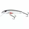 Salmo Minnow Hundimiento 5cm Dace