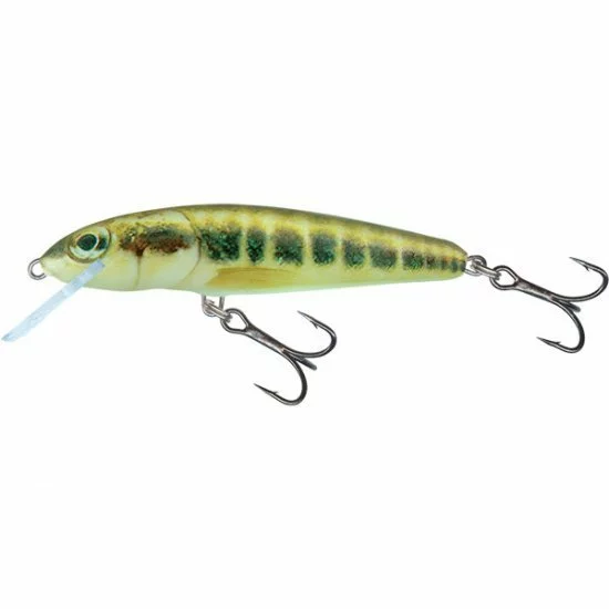 Salmo Minnow Hundimiento 7cm Minnow 3 Salmo Minnow Hundimiento 7cm Minnow