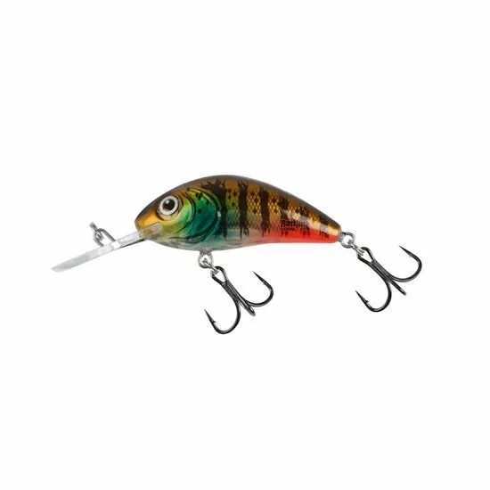Salmo Rattlin Hornet Floating 3.5cm Hot Gill Claro 3 Salmo Rattlin Hornet Floating 3.5cm Hot Gill Claro