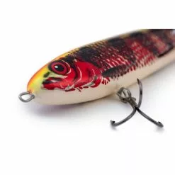 Salmo Sweeper Sinking 17cm Holo Red Perch Edición Limitada