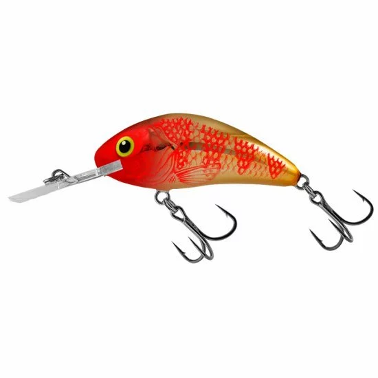 Salmo Rattlin Avispón Flotante 3.5cm Cabeza Roja Dorada 3 Salmo Rattlin Avispón Flotante 3.5cm Cabeza Roja Dorada